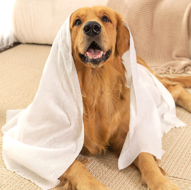 Toallas de Baño para Mascotas — Pack 10 Unidades